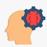 인지기능과 끌어당김의 법칙 10 인지기능과 끌어당김