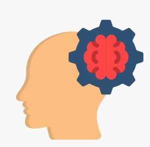 인지기능과 끌어당김